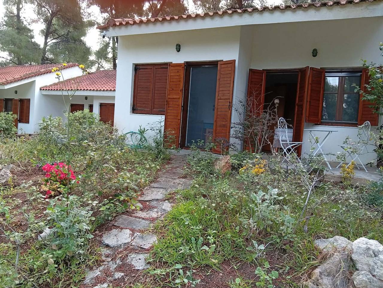 Vakantiehuis Villa Anty in Sani, Chalkidiki met Privéterras en Uitzicht op dennenbos in Sane, Kassandra