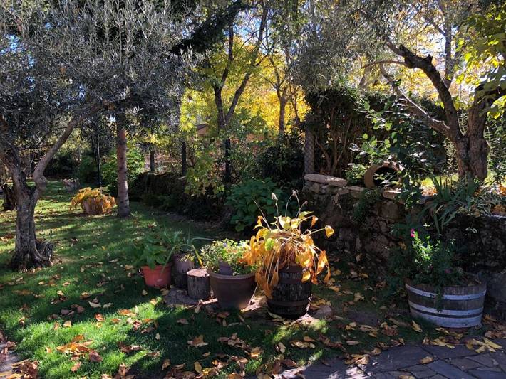 Casa rural para 4 personas, con jardín y vistas, Se admiten mascotas en Provincia de Salamanca - 4