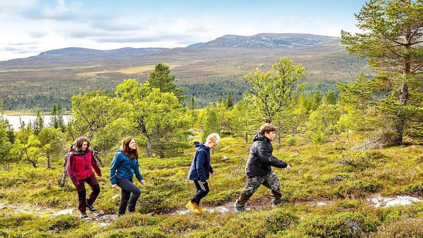 Ferienhaus für 13 Personen, mit Balkon und Sauna in Idre - 4