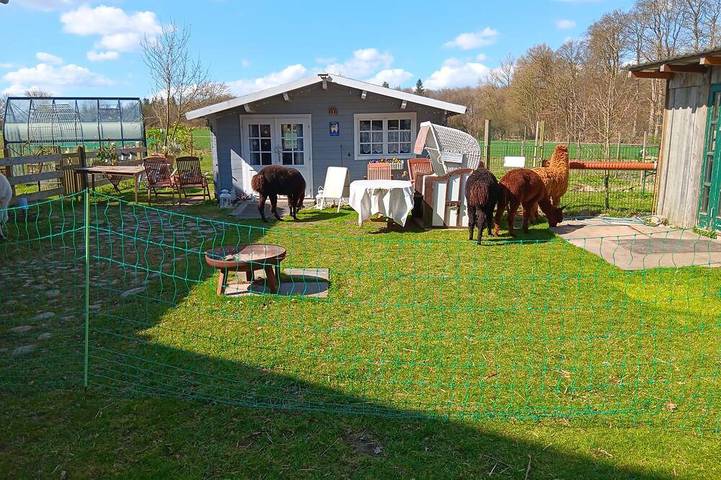 Gîte pour 4 personnes, avec Terrasse et Jardin à Hambourg