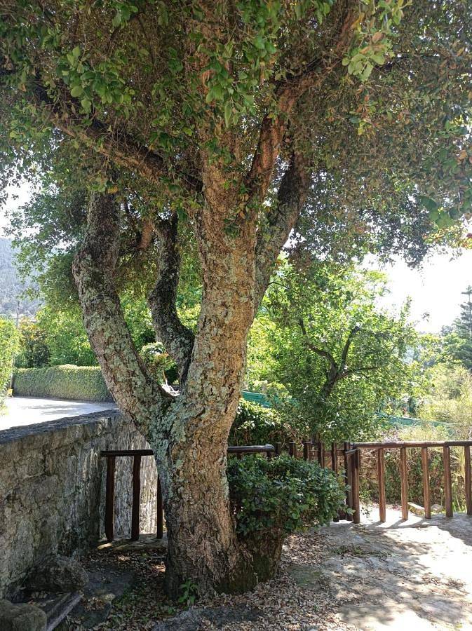 Location de vacances pour 3 personnes, avec terrasse et jardin dans Vilar de Mouros - 2