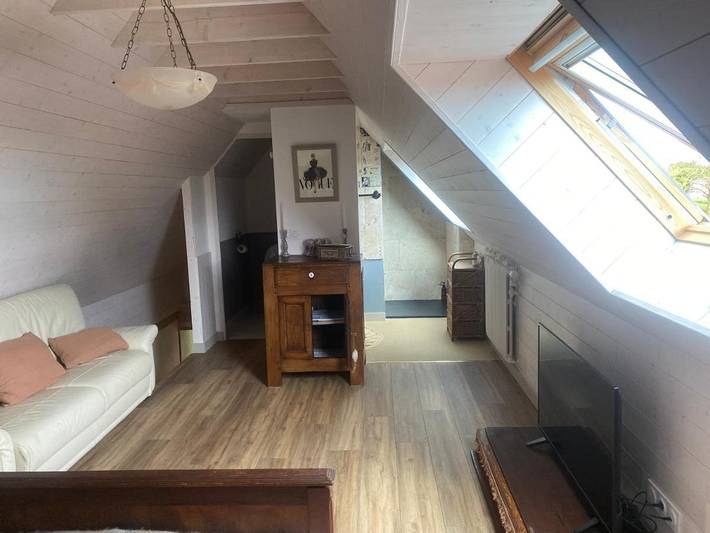 Location de vacances pour 3 personnes, avec Jacuzzi et Terrasse ainsi que Jardin et Sauna à Peumerit - 4