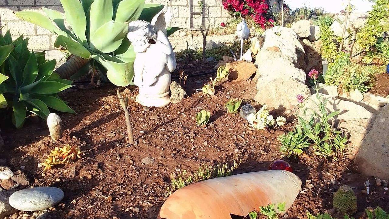 Ferienhaus für 2 Personen (54 m²) in La Sabinita in Arico Viejo, Arico