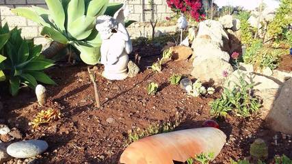 Finca voor 3 Personen in Arico, Zuid Tenerife, Afbeelding 4