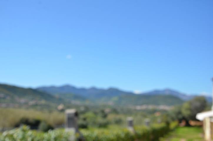 Gîte pour 6 personnes, avec terrasse à Tanaunella - 4