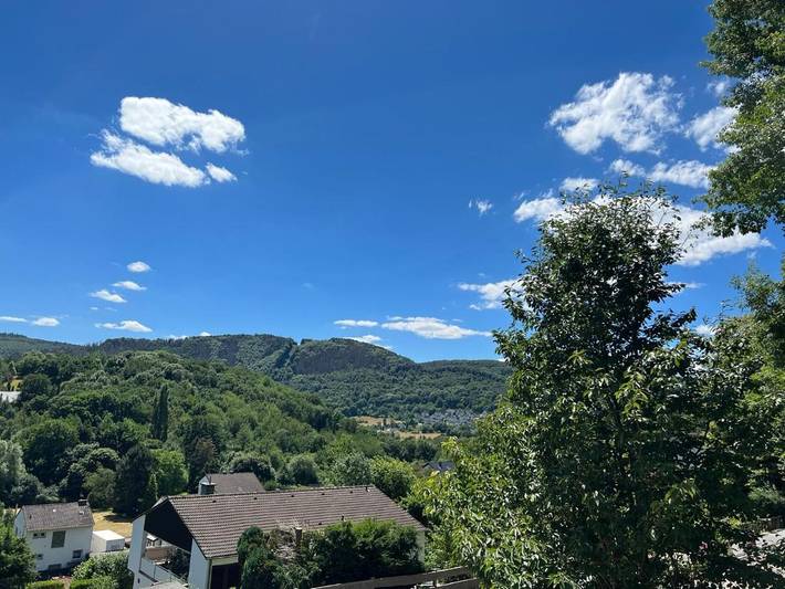 Gîte pour 2 personnes, avec sauna ainsi que jardin et jacuzzi à Heimbach - 3
