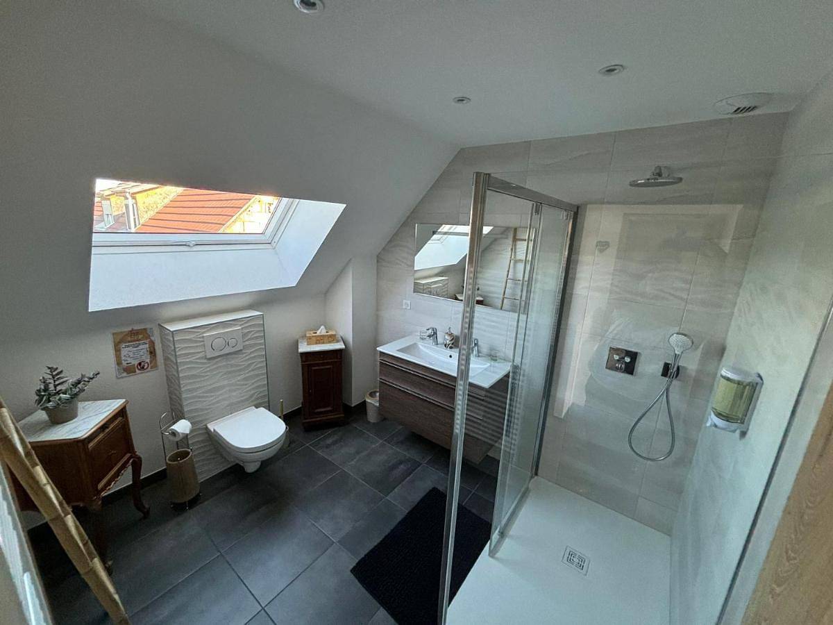 Double Room with Private Bathroom in Wintzenheim, Parc naturel régional des Ballons des Vosges