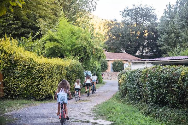 Bungalow für 10 Personen, mit Terrasse in Languedoc-Roussillon - 4