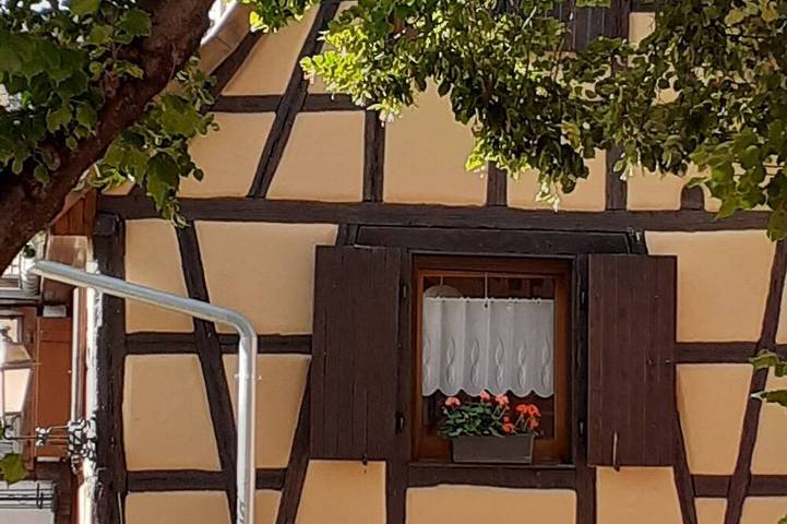 Beautiful holidays in Alsace, near Colmar - gîte de la Muse in Rouffach, Guebwiller region