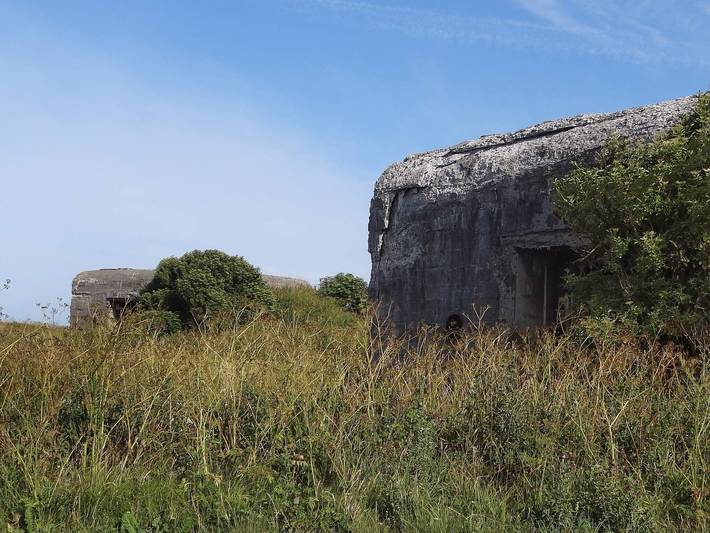 Ferienhaus für 8 Personen, mit Terrasse, mit Haustier in Lemvig - 3