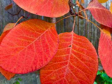 Vacation House for 2 Guests in Big Sur, California, Picture 4
