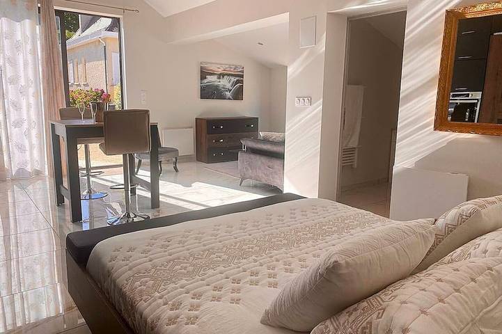 Location de vacances pour 12 personnes, avec jardin ainsi que terrasse et piscine, animaux acceptés à Saint-Julien-de-Lampon - 4