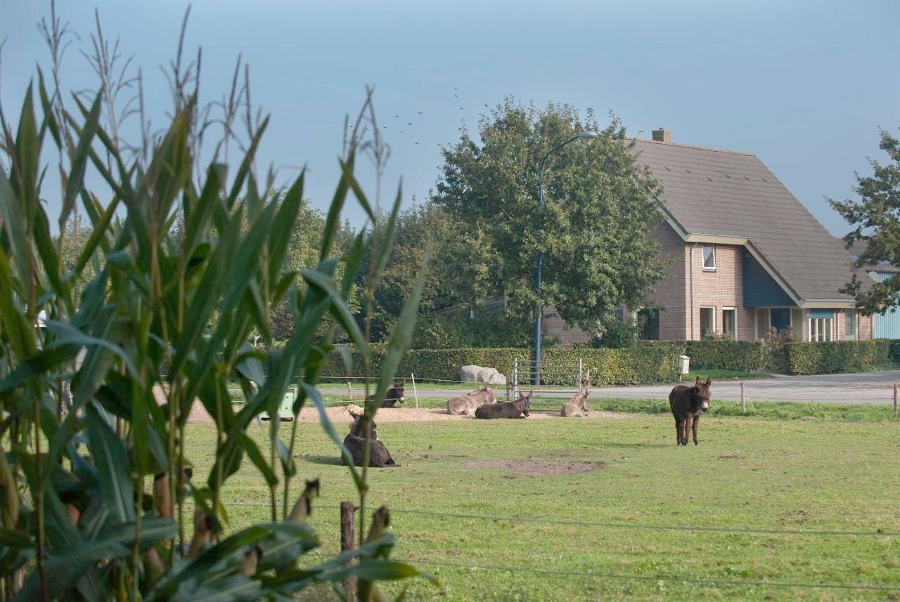 Twin Room in Hooghalen, Drenthe