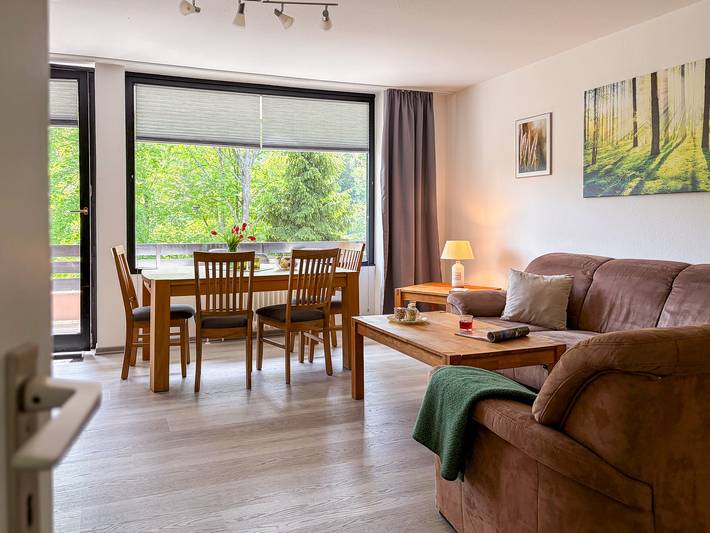 Ferienhaus für 4 Personen, mit Balkon und Balkon/Terrasse sowie Sauna in Winterberg - 3
