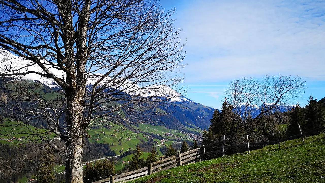 Hütte für 9 Personen (70 m²) in Achseten in Frutigen, Frutigen - Lenk - Adelboden