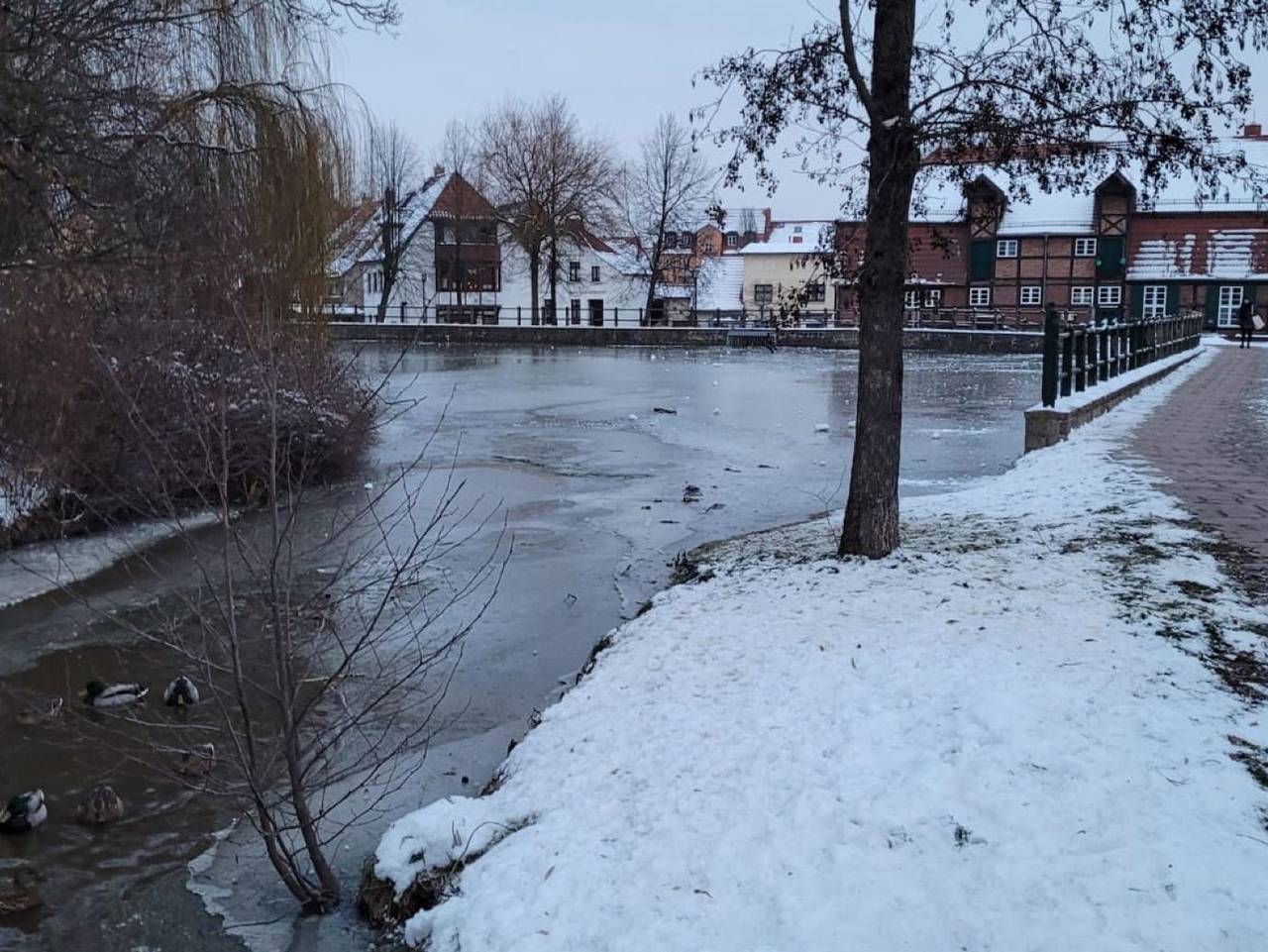 Ferienhaus am Mühlenteich - Ferienhaus am Mühlenteich in Teterow, Mecklenburgische Seenplatte