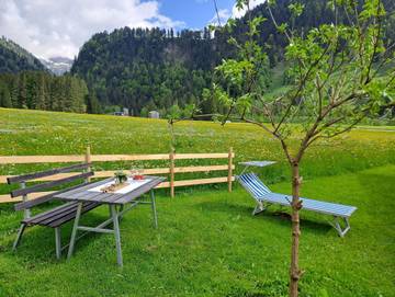Ferienwohnung für 4 Personen in Schoppernau, Allgäuer Alpen (Österreich), Bild 3
