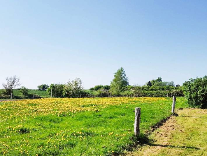 Ferienhaus für 6 Personen, mit Whirlpool und Sauna in Mørkholt - 2