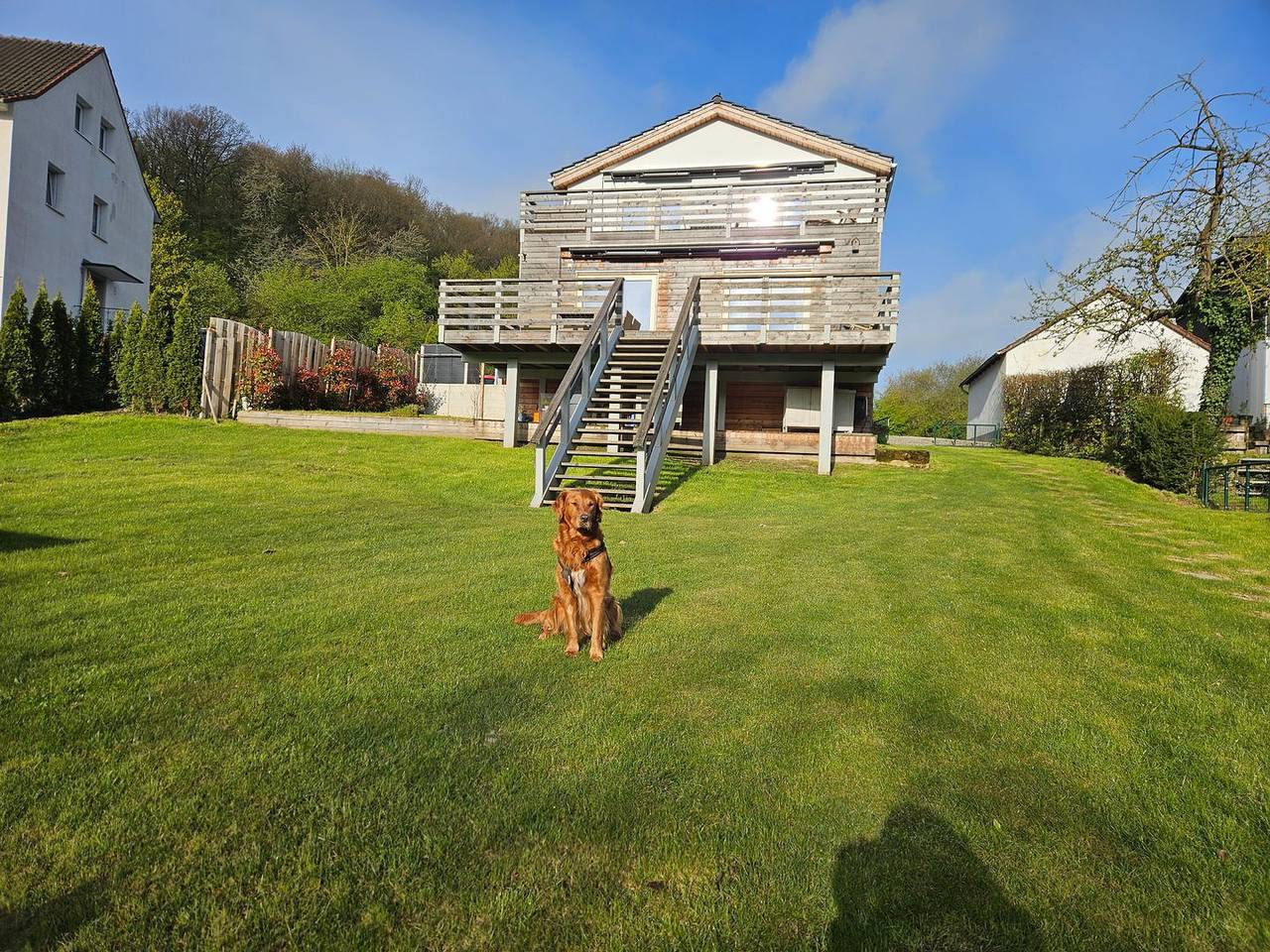 Ganze Wohnung, Naturverliebt – Waldblick – Sonnenterrasse. Familienfreundlich. Hund erlaubt. in Diemelsee, die Mittelgebirge