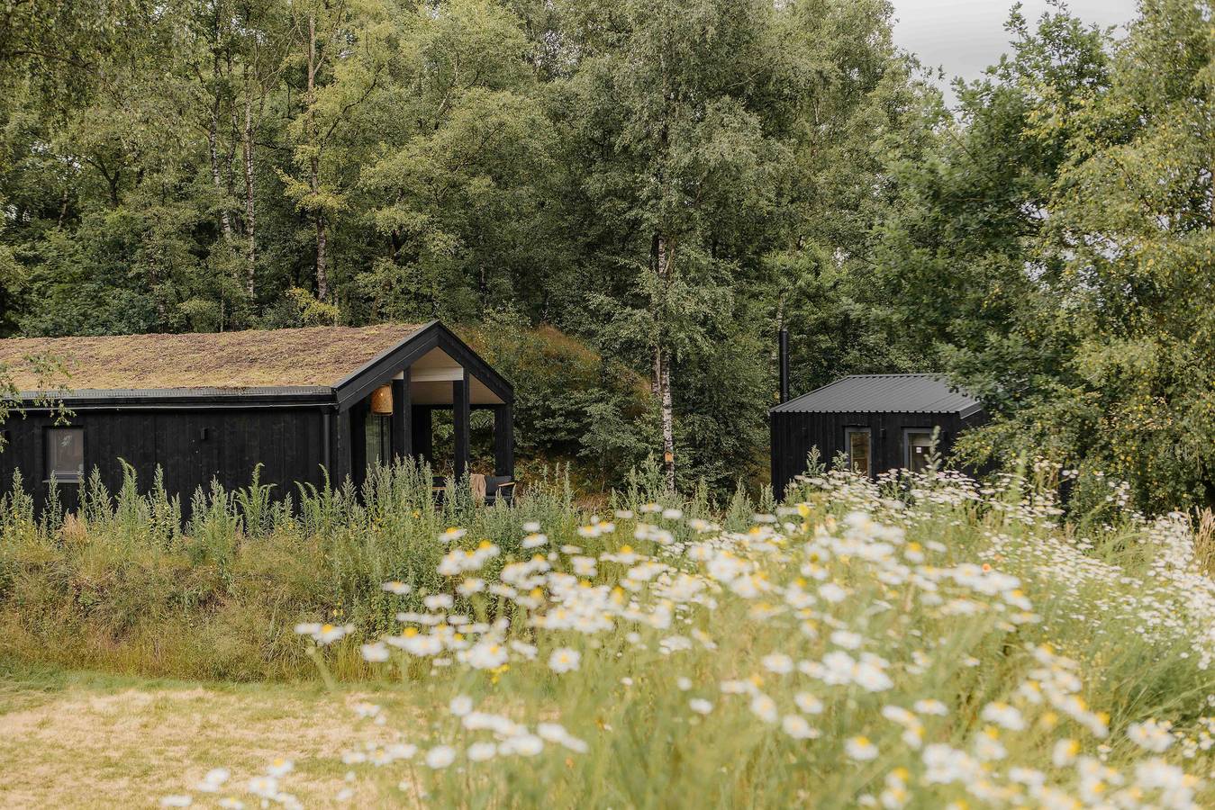 Wb Resort Gmbh — The Hills mit Hot tub & Sauna | 5 Pers. in Wilsum, Landkreis Grafschaft Bentheim