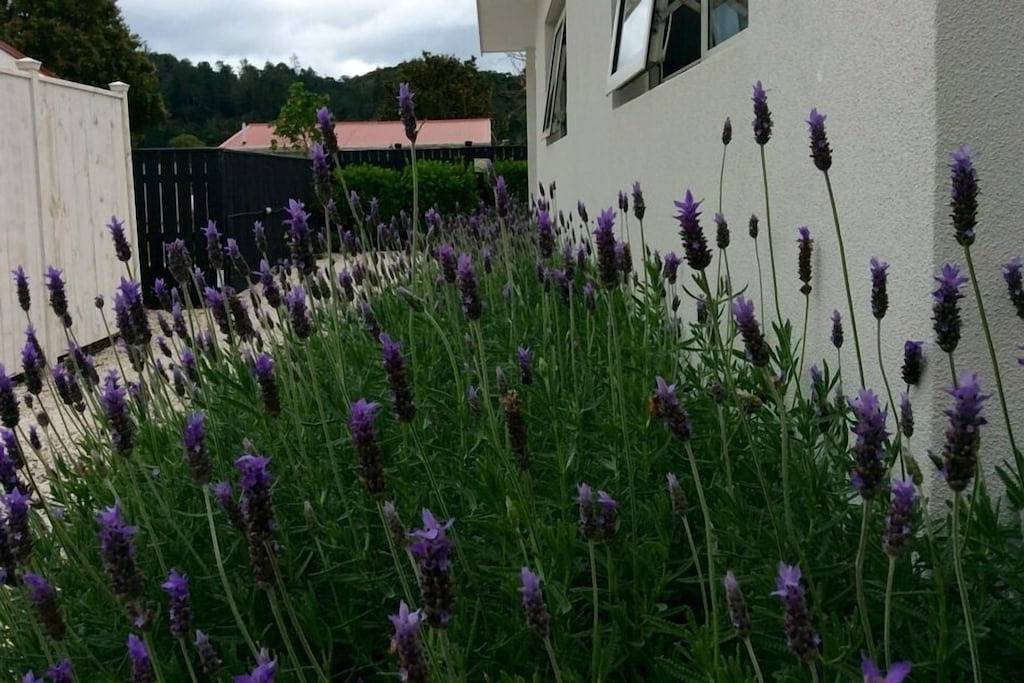 Ganze Wohnung, Kapanga 2 Apartment mit 1 Schlafzimmer in Coromandel, Waikato