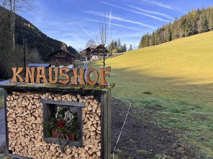 Ferienwohnung für 11 Personen, mit Balkon und Garten sowie Sauna in Ramsau am Dachstein - 2