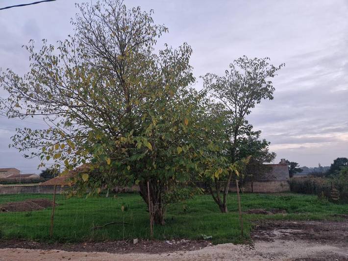 Chambre d’hôte pour 2 personnes, avec vue et jardin à Bédarrides - 3