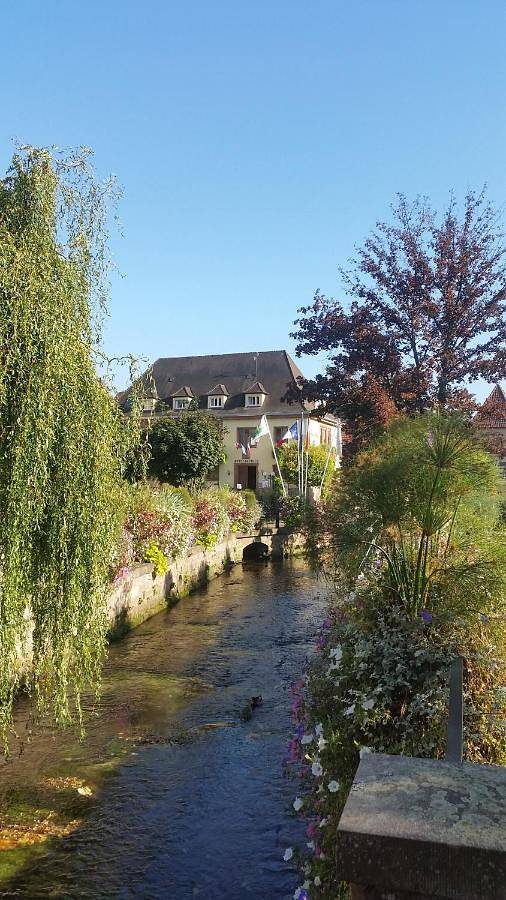 Gîte pour 4 personnes, avec vue, animaux acceptés à Niederbronn-les-Bains - 3