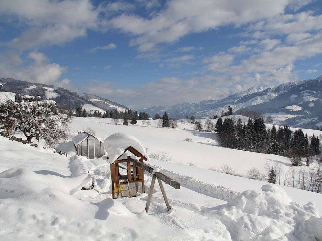 Ferienhaus mit 1 Schlafzimmer in Uttendorf, Kitzbüheler Alpen