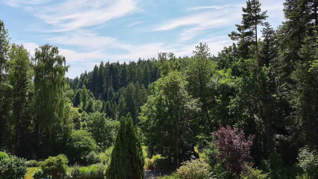 Ganze Ferienwohnung, Ferienwohnung für 6 Personen (125 m²) in Waldachtal in Waldachtal, Nordschwarzwald