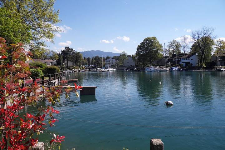 Ganze Wohnung, Studio Thonon - Port Ripaille Marina ! Lake and pool access! in Thonon-les-Bains, Thonon-les-Bains und Umgebung