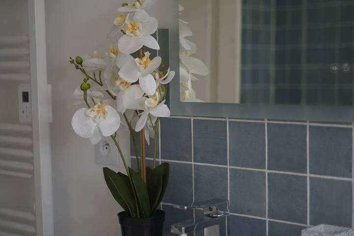 Chambre d’hôte pour 2 personnes dans Montrichard Val de Cher - 3