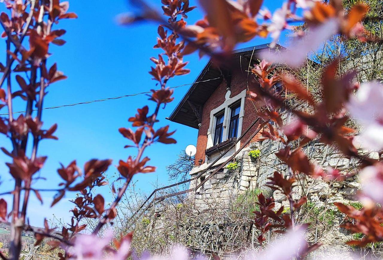 One-Bedroom House in Freyburg (Unstrut), Saale-Unstrut