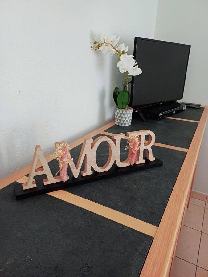 Location de vacances pour 8 personnes, avec jardin, adapté aux familles à Saligny-sur-Roudon - 4