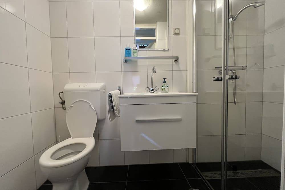 Gemühtliches 8-Personen Ferienhaus im ruhige Lage auf 530 m² Grund in Scharendijke, Zeeuwse Kust