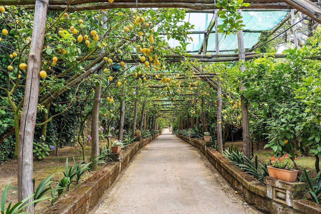 Villa Romantic Garden in Sorrento, Sorrento Coast