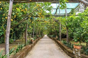 Villa for 8 People in Sorrento, Tyrrhenian Coast Campania, Photo 2