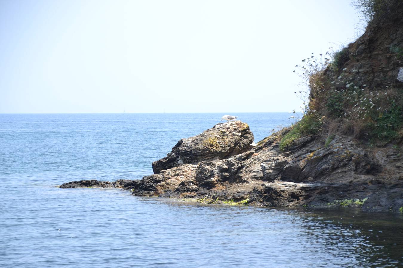 Casa William in Spiaggia Hotel Elba, Capoliveri