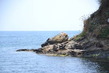 Villa for 14 People in Elba, Photo 4