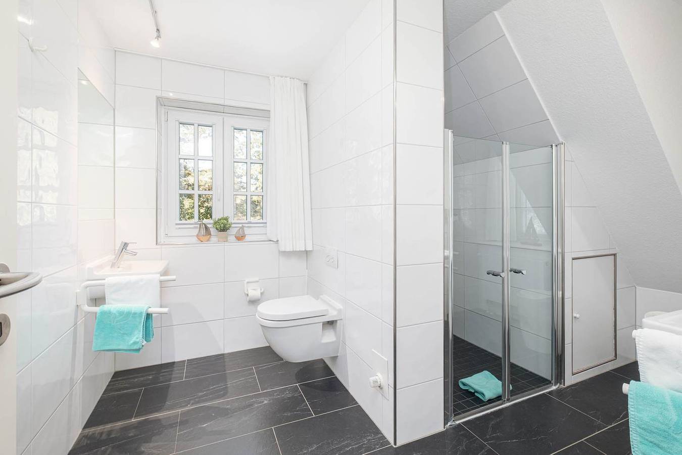 Ganze Wohnung, Urlaub mit Hund, inkl. Schwimmbad und Sauna, Og über 2 Ebenen bis 4 Personen in Norddorf, Amrum
