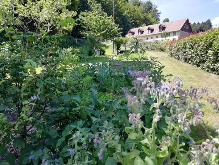 Cottage pour 2 personnes, avec vue et jardin, adapté aux familles à Urbeis (Bas-Rhin Alsace)