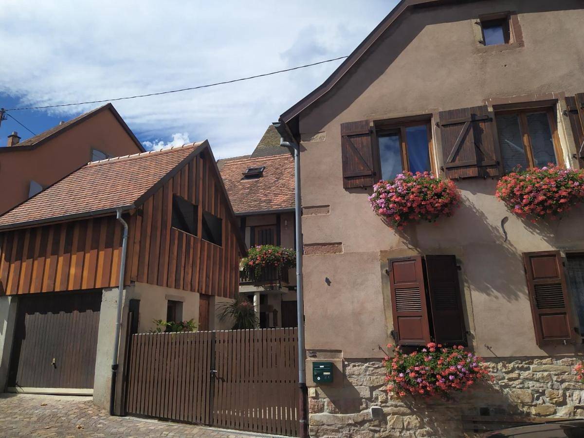Appartement entier, Duplex Apartment in Ottrott, Bas-Rhin Alsace
