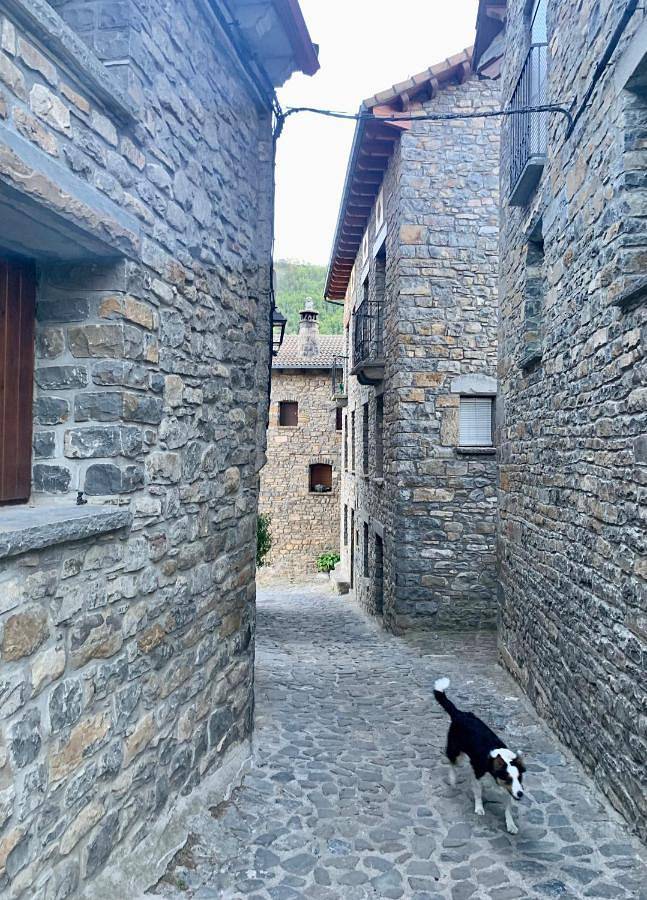 Location de vacances pour 5 personnes à Torla - 4