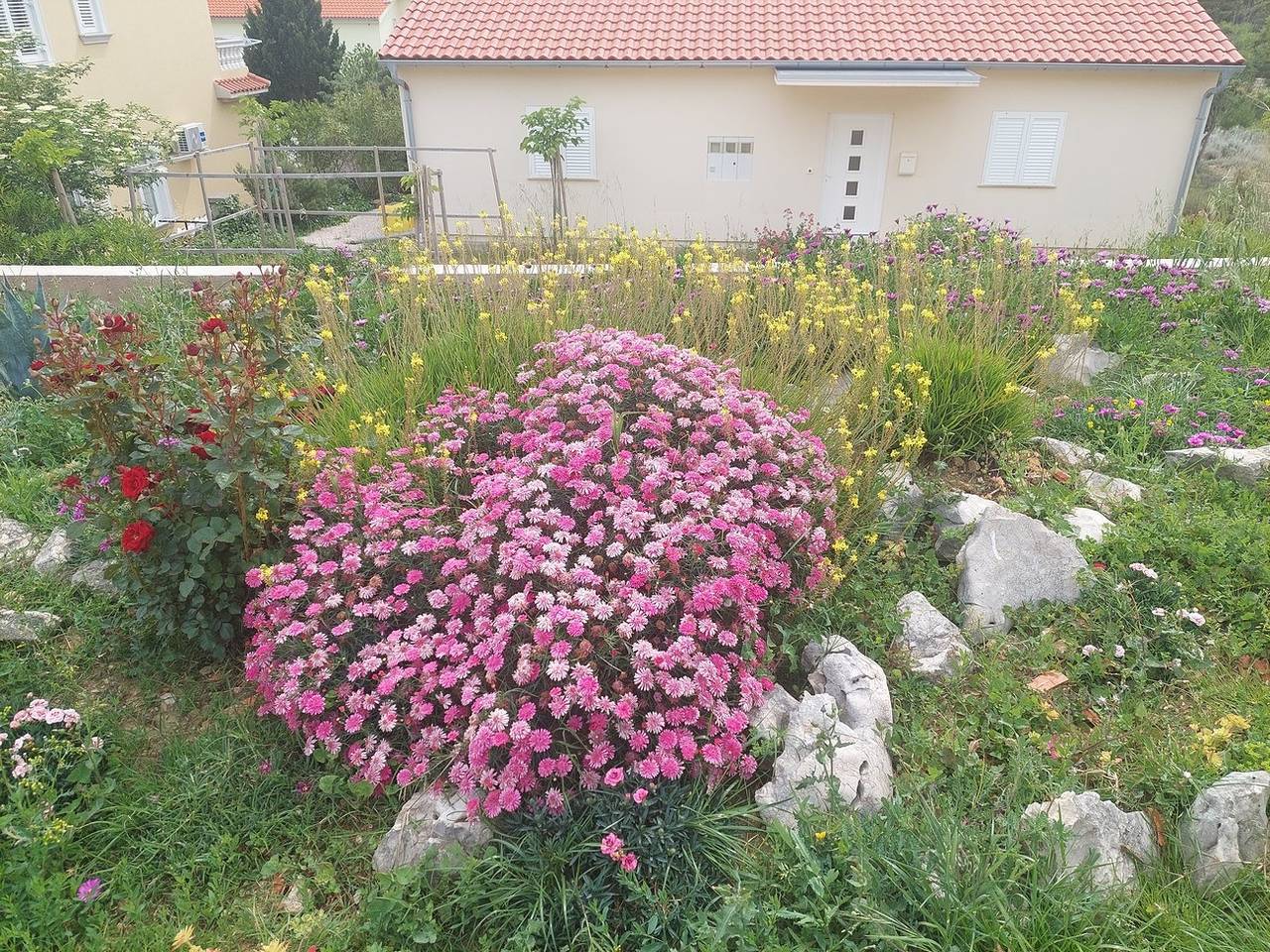 Ganze Wohnung, 1-Zimmer-Ferienwohnung mit Terrasse und Meerblick Barbat, Rab A-22863-a in Barbat na Rabu, Rab