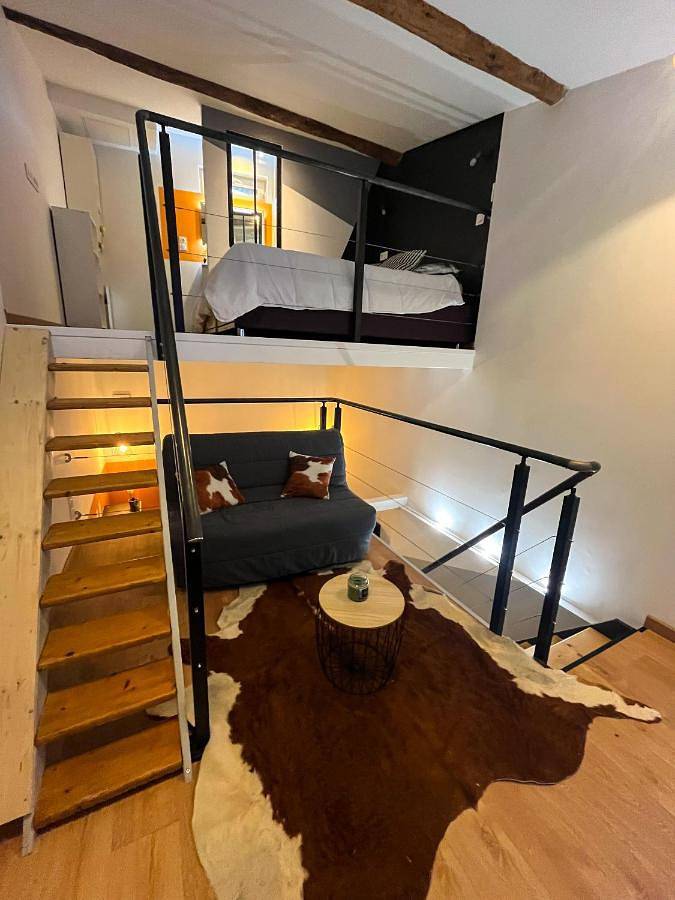 Gîte pour 4 personnes, animaux acceptés à Chavanay - 3