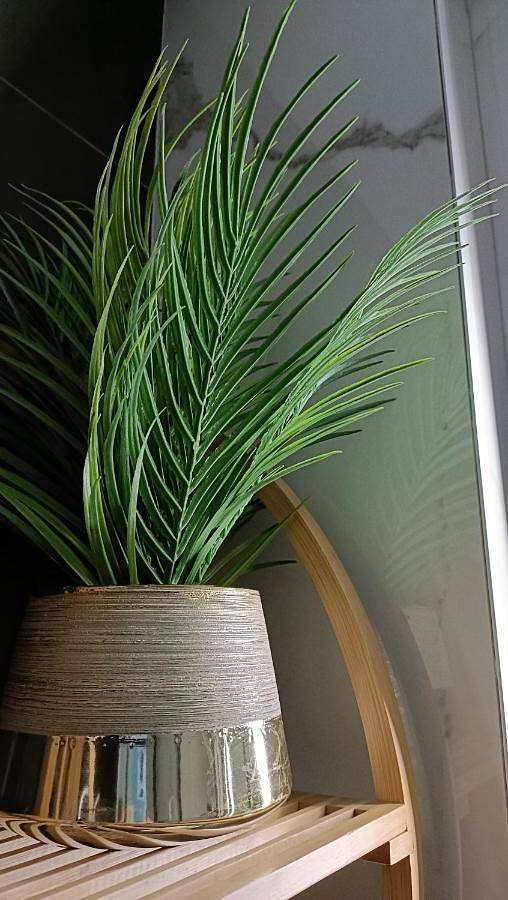 Gîte pour 2 personnes, avec jardin ainsi que jacuzzi et terrasse à Nogent-sur-Marne - 3