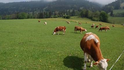 Bauernhof für 4 Personen in Oberammergau, Bayerische Alpen, Bild 3