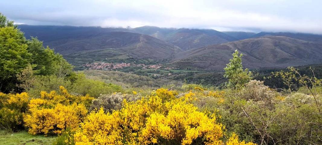 Casa rural para 8 personas, con jardín y vistas en Sierra de la Demanda - 3