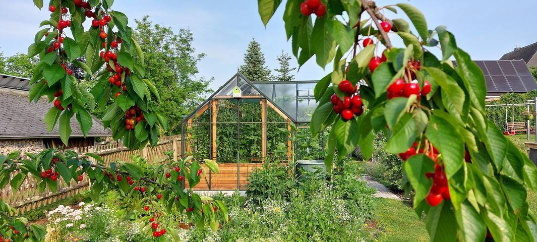 Ferienwohnung für 5 Personen, mit Garten in Olbernhau - 3