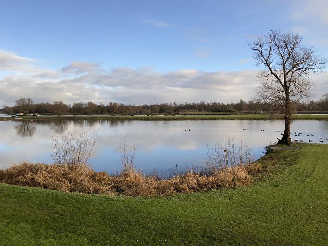 De Scherpenhof — Ijssel Chalet am Wasser | 4 Personen in IJssel